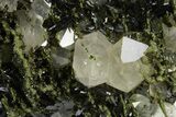 Lustrous Dark Green Epidote Crystals with Quartz - Turkey #303460-1